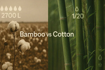 Bamboo vs Cotton: Sustainability, performance, and comfort.