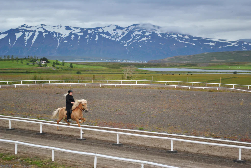 Iceland: A story of Fire and Ice