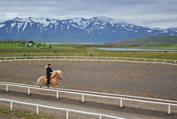 Iceland: A story of Fire and Ice
