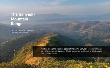 Western Ghats Running & Trail Running in the Sahyadris