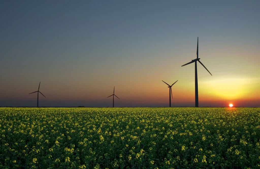 Small steps to reduce carbon footprint