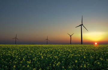 Small steps to reduce carbon footprint